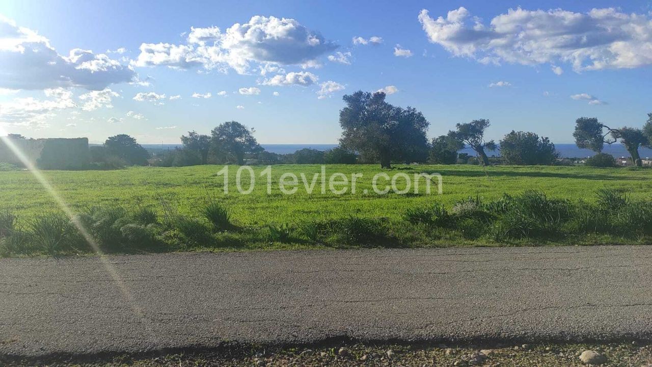 18 Hektar Land mit zonierten und Meerblick zum Verkauf in Dipkarpaz ** 