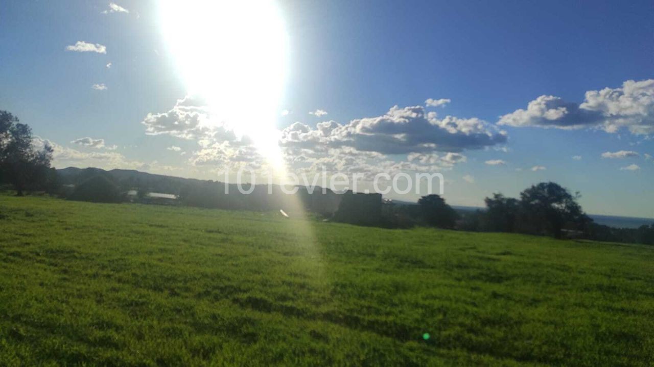 18 Hektar Land mit zonierten und Meerblick zum Verkauf in Dipkarpaz ** 