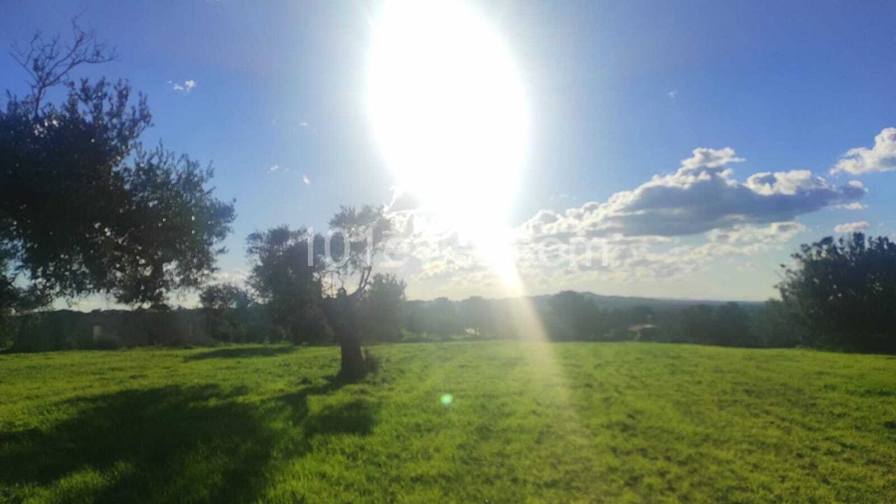 18 Hektar Land mit zonierten und Meerblick zum Verkauf in Dipkarpaz ** 