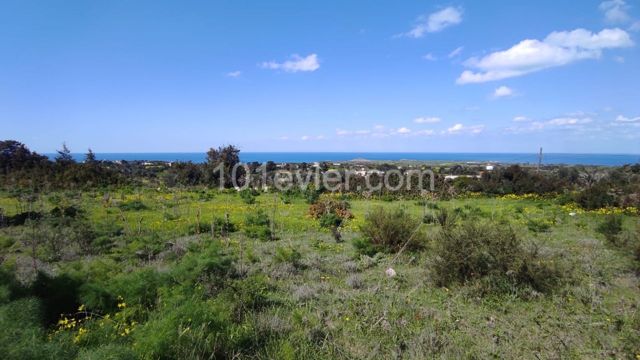 Marvellous property with sea views in the wonderful Karpaz area in Yeni Erenköy !!!