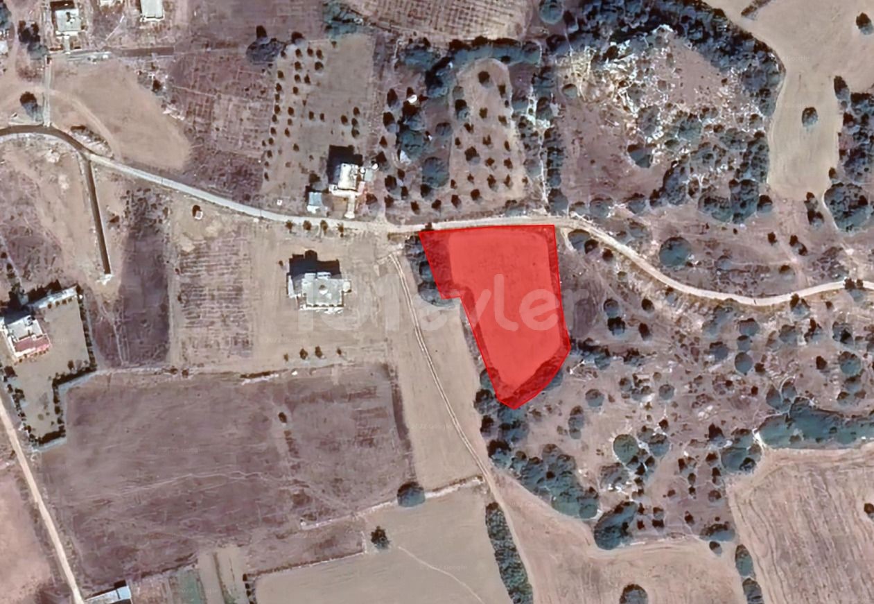 ISKELE Bafrada IS AN 8-ACRE FIELD ZONED FOR AN UNMISSABLE PRICE THAT IS OPEN FOR INVESTMENT ** 