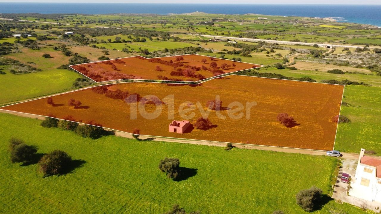 10 ACRES OF 2 EVLEK LAND FOR SALE IN YENI ERENKÖY ** 