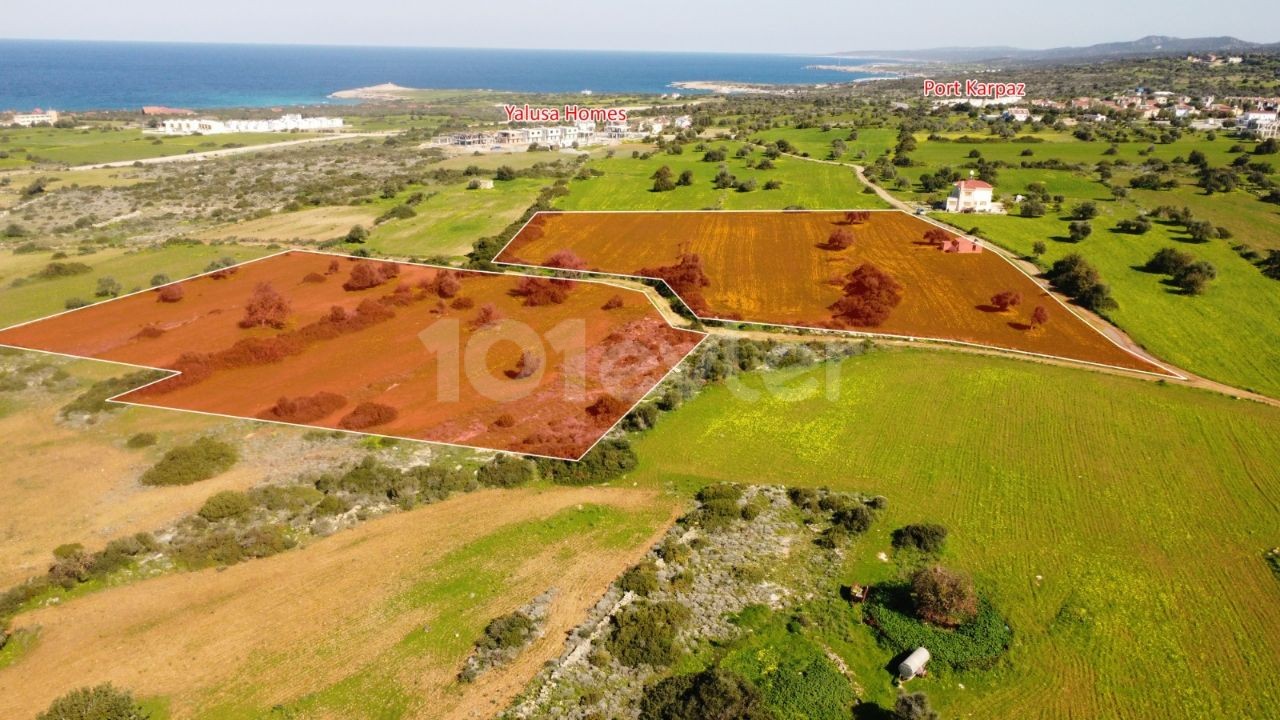 10 ACRES OF 2 EVLEK LAND FOR SALE IN YENI ERENKÖY ** 