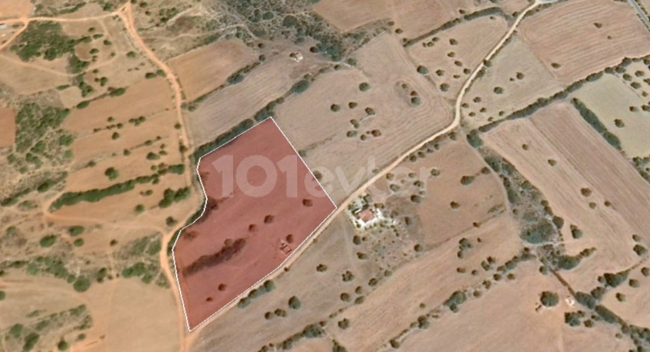 10 ACRES OF 2 EVLEK LAND FOR SALE IN YENI ERENKÖY ** 