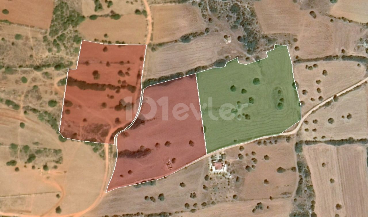 10 ACRES OF 2 EVLEK LAND FOR SALE IN YENI ERENKÖY ** 