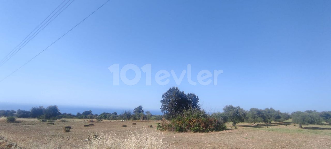 7 ACRES OF 1 HOUSE LAND FOR SALE IN ISKELE-SIPAHI ** 