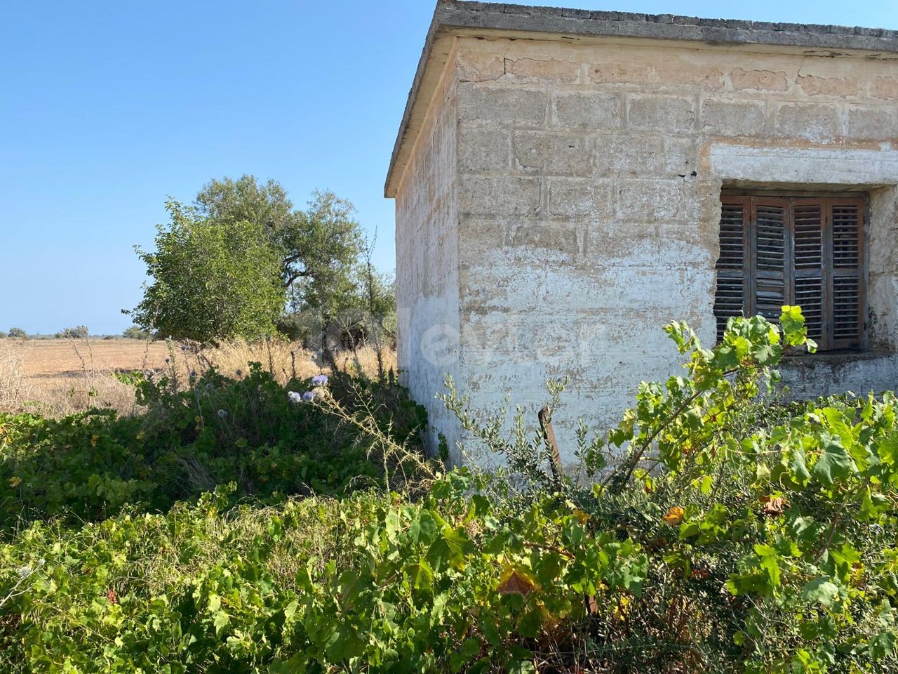 İskele Derince'de, içinde evi olan satılık arazi