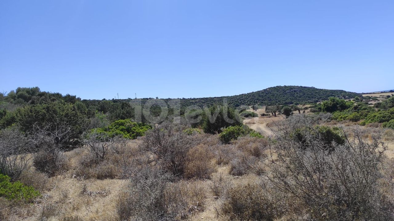 Iskele Yeni Erenköy sea view, 1 acre of land ** 