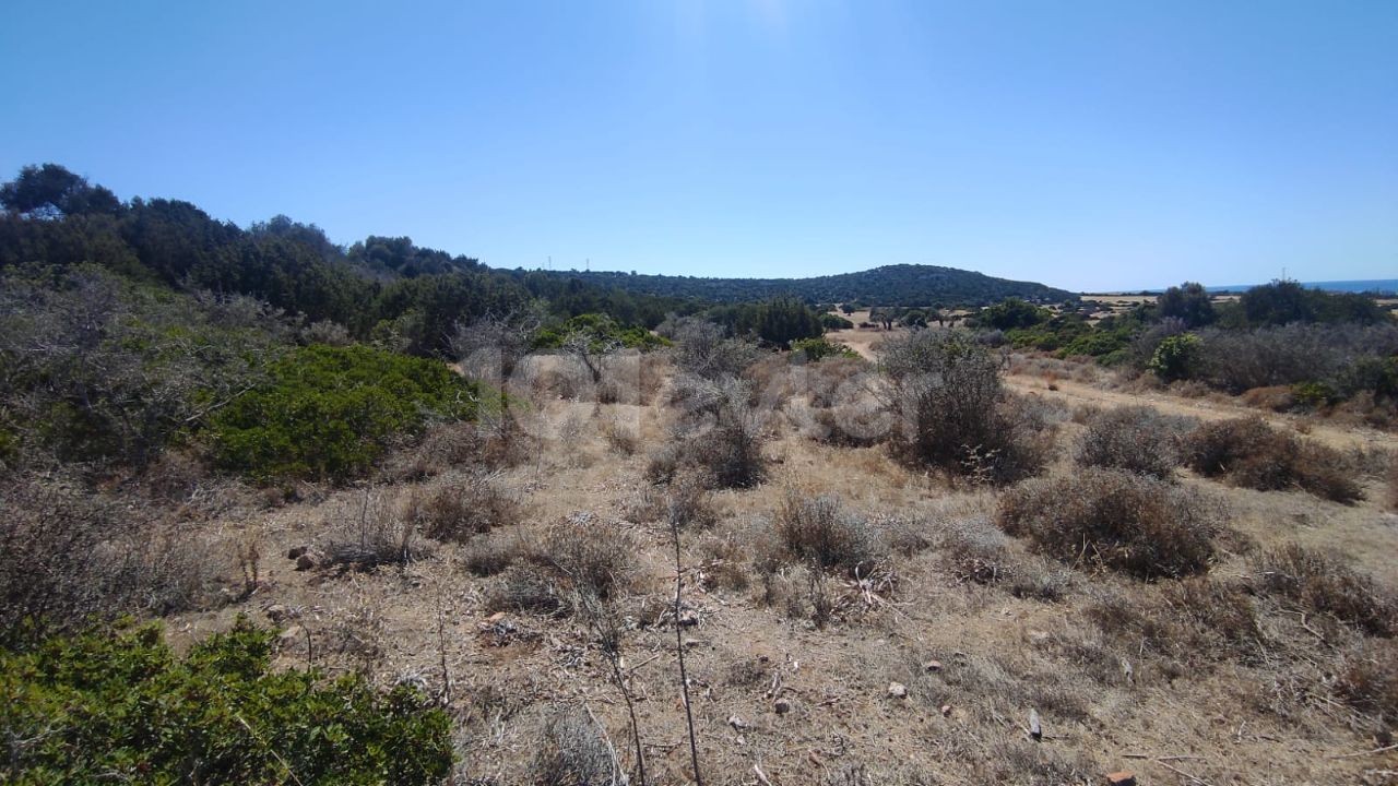 Seeblick in yeni Erenköy, 1 Hektar Land ** 