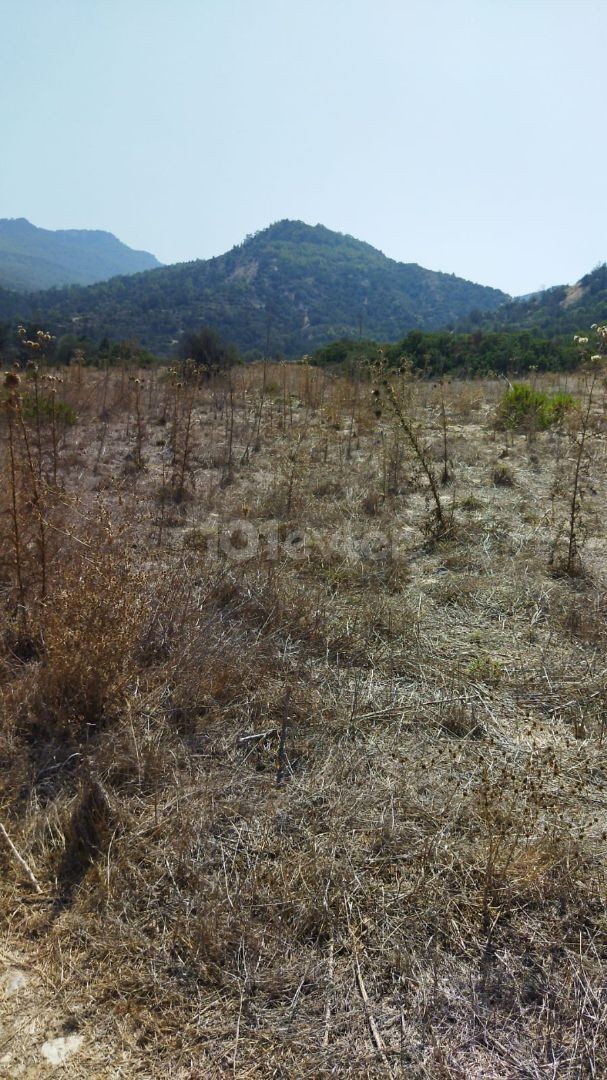 İSKELE KAPLICA BÖLGESİNDE SATILIK ARAZİ!