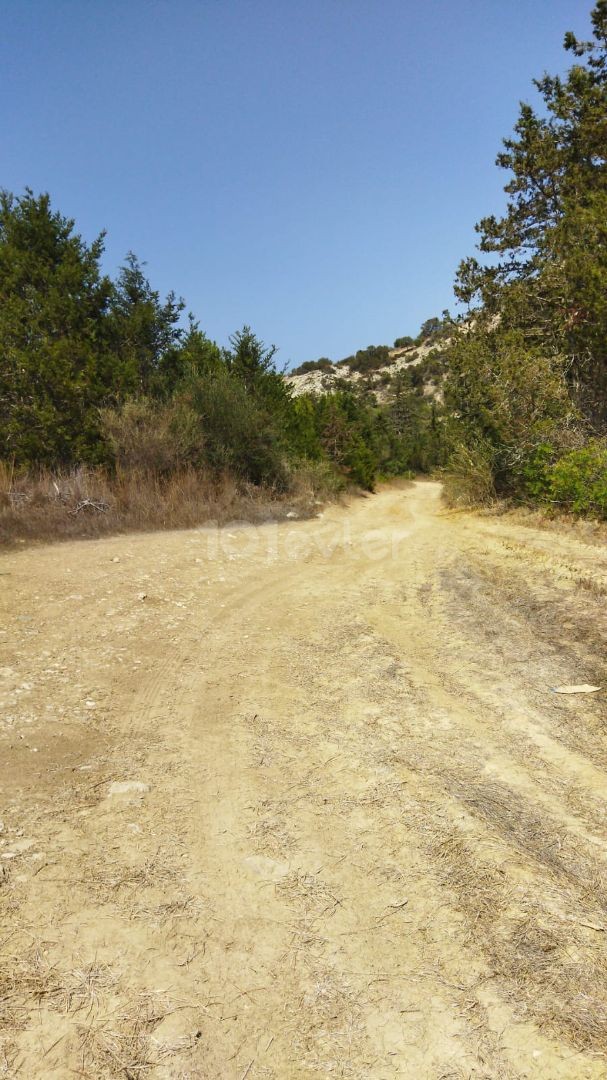 İSKELE KAPLICA BÖLGESİNDE SATILIK ARAZİ!