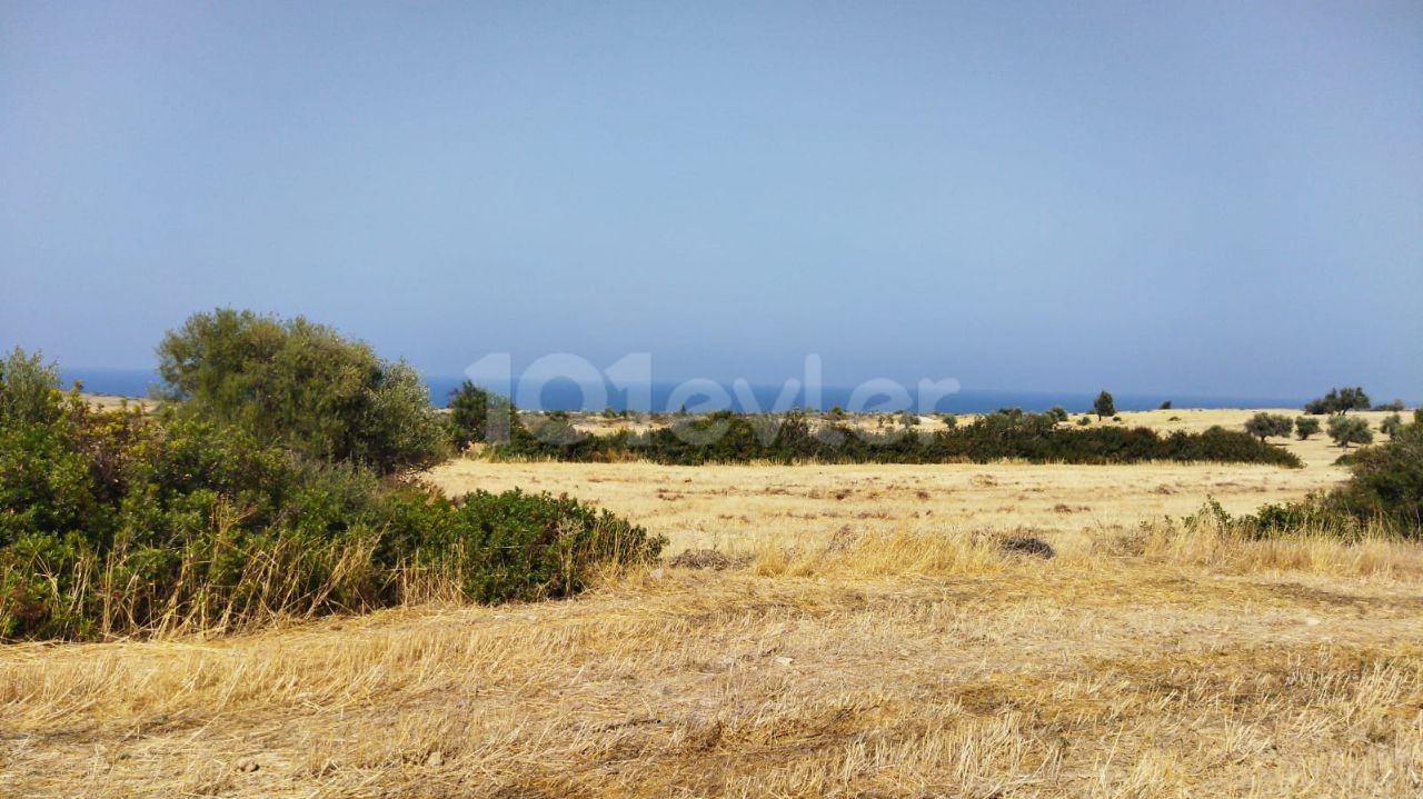 LAND FOR SALE IN ISKELE SPA AREA ** 