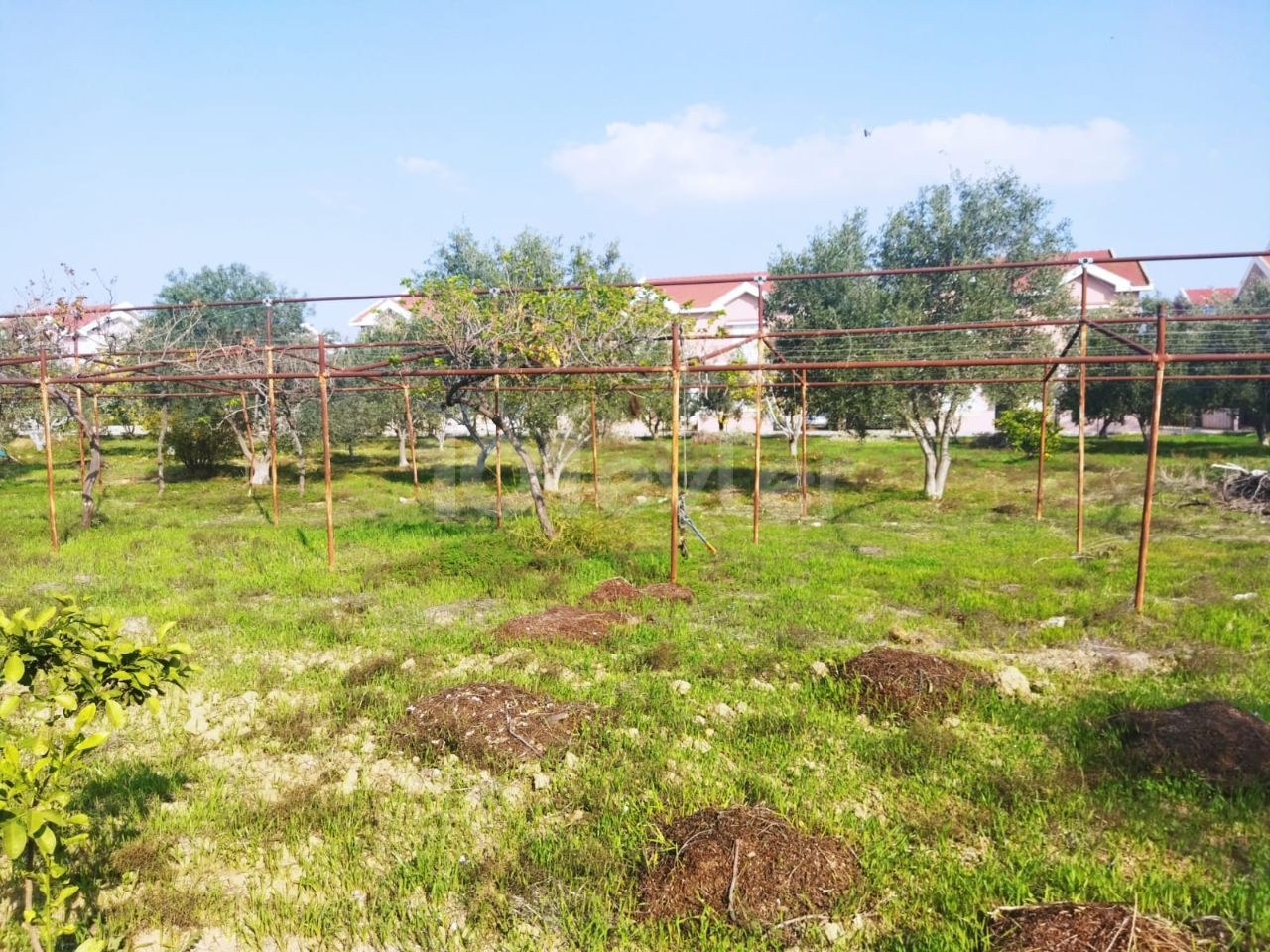 İskele Boğaz'da, içerisinde villa olan satılık 7 buçuk dönüm arazi