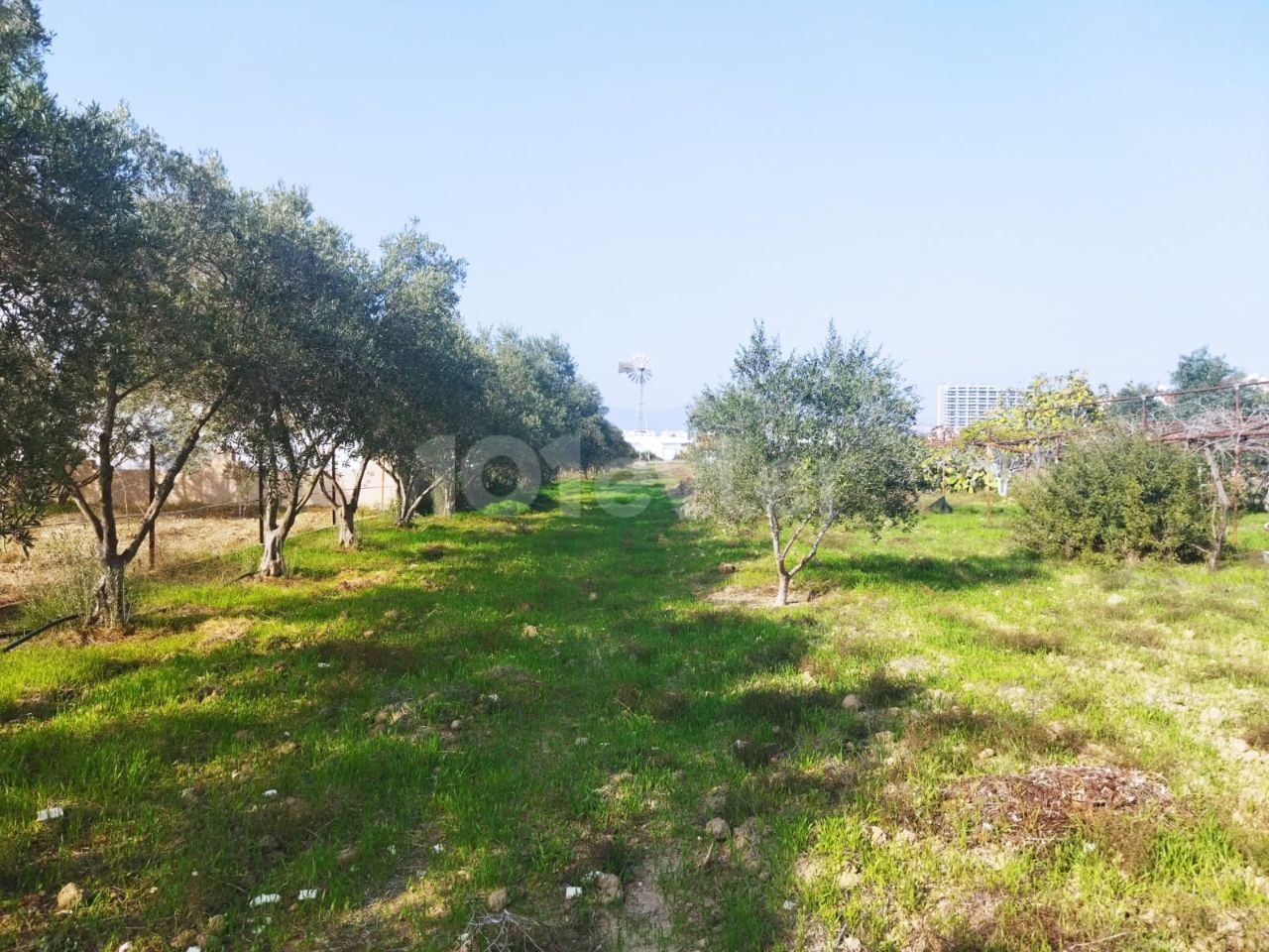 Iskele Bosphorus, 7 acres of land for sale with a villa in it ** 