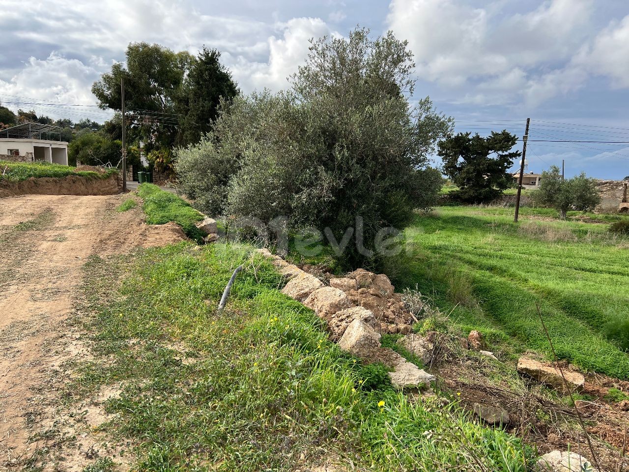 2 Hektar Land zu verkaufen im Dorf in Yeni Erenköy 