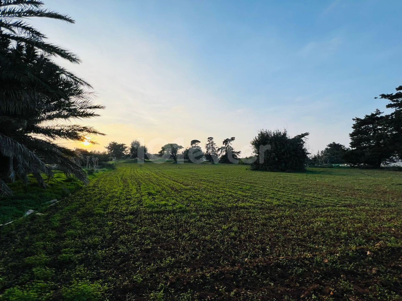 Feld Kaufen in Yeni Erenköy, Iskele