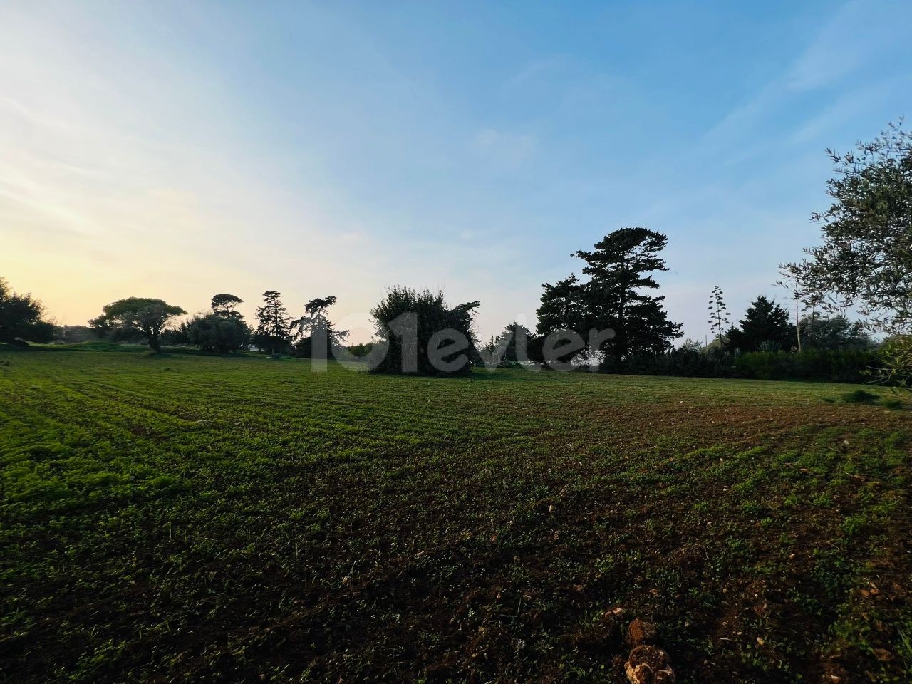 رشته برای فروش in Yeni Erenköy, ایسکله