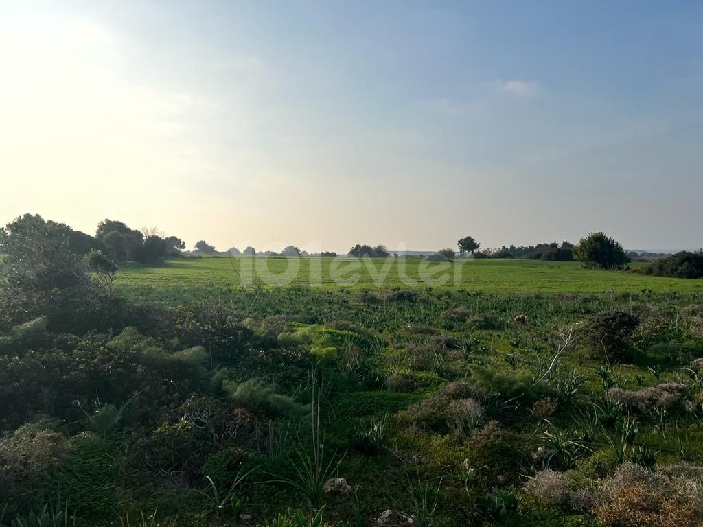 Sea view land for sale in Yenierenköy