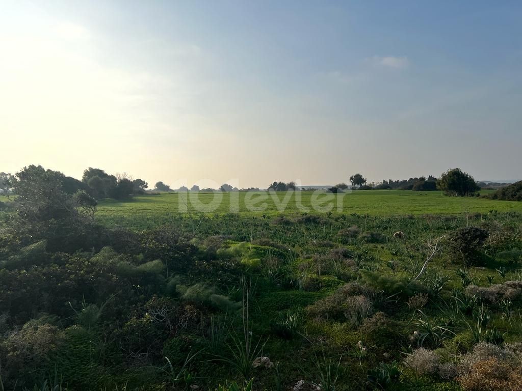 Sea view land for sale in Yenierenköy