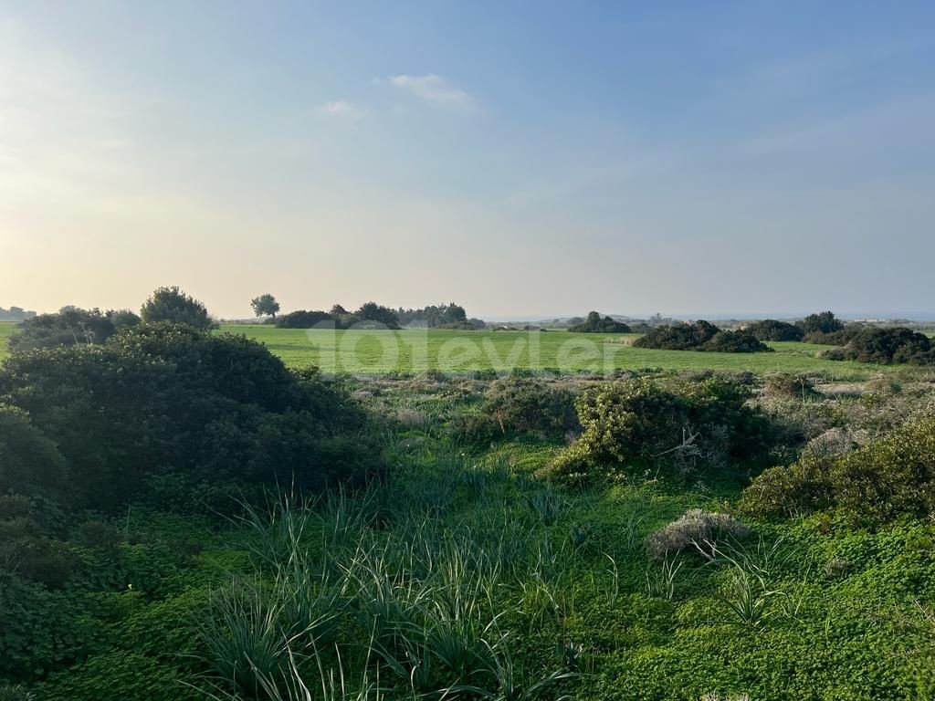 Feld Kaufen in Yeni Erenköy, Iskele