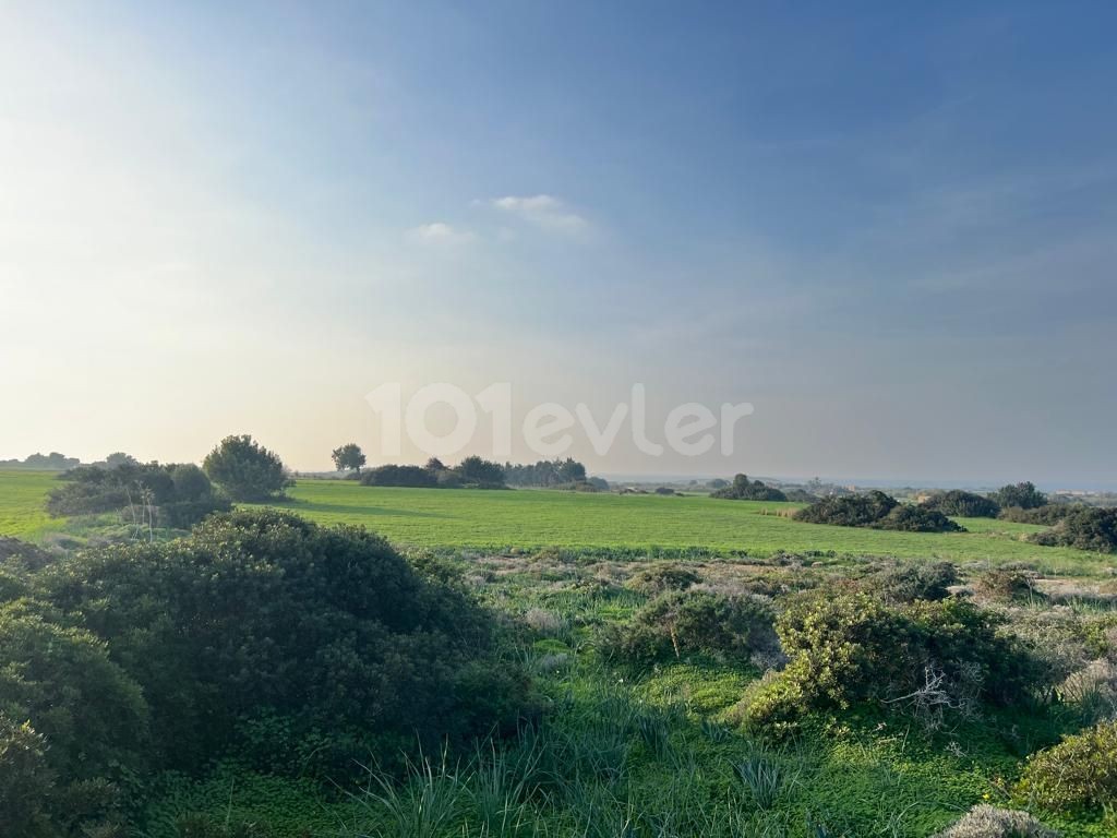Sea view land for sale in Yenierenköy