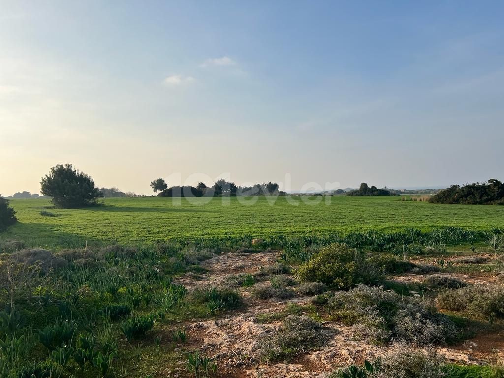 Sea view land for sale in Yenierenköy