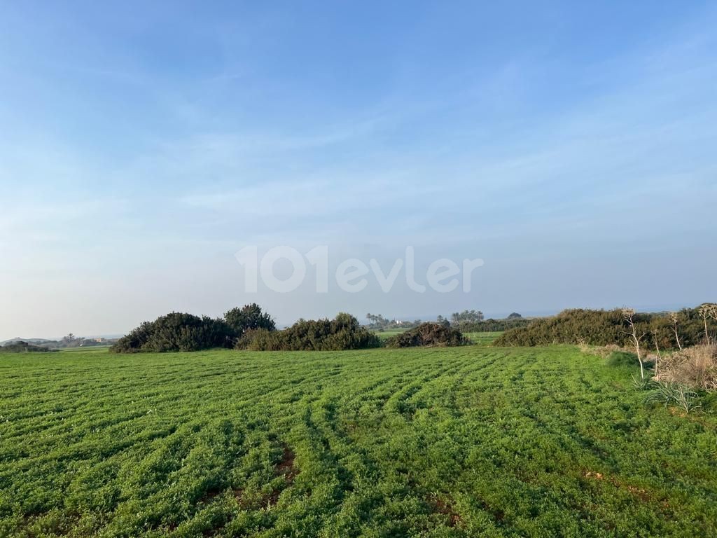 Sea view land for sale in Yenierenköy