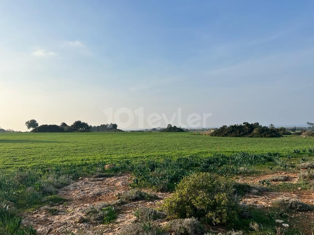 Sea view land for sale in Yenierenköy