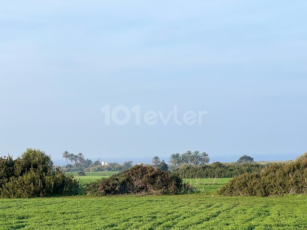 Sea view land for sale in Yenierenköy