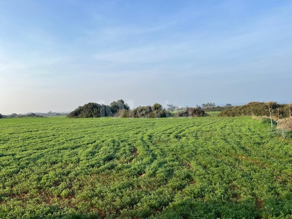 Feld Kaufen in Yeni Erenköy, Iskele