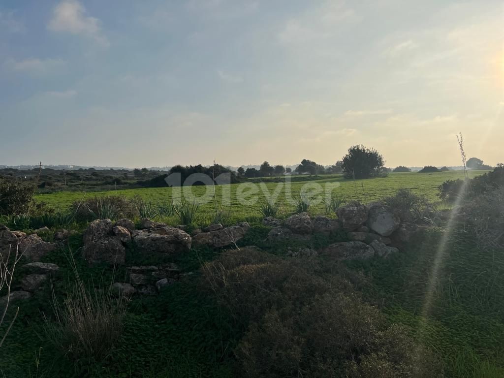 Sea view land for sale in Yenierenköy