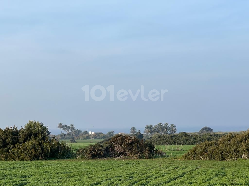 Sea view land for sale in Yenierenköy