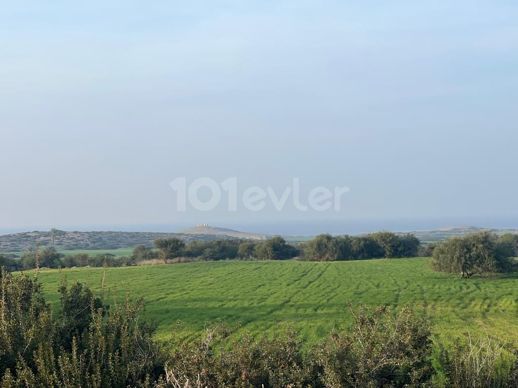 4 Acres of 1 Evlek Land for Sale with Sea View in Yeni Erenköy