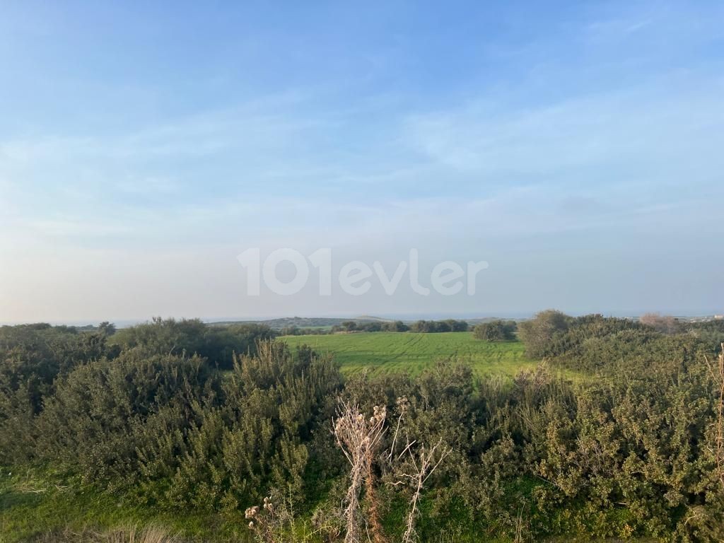 4 Acres of 1 Evlek Land for Sale with Sea View in Yeni Erenköy