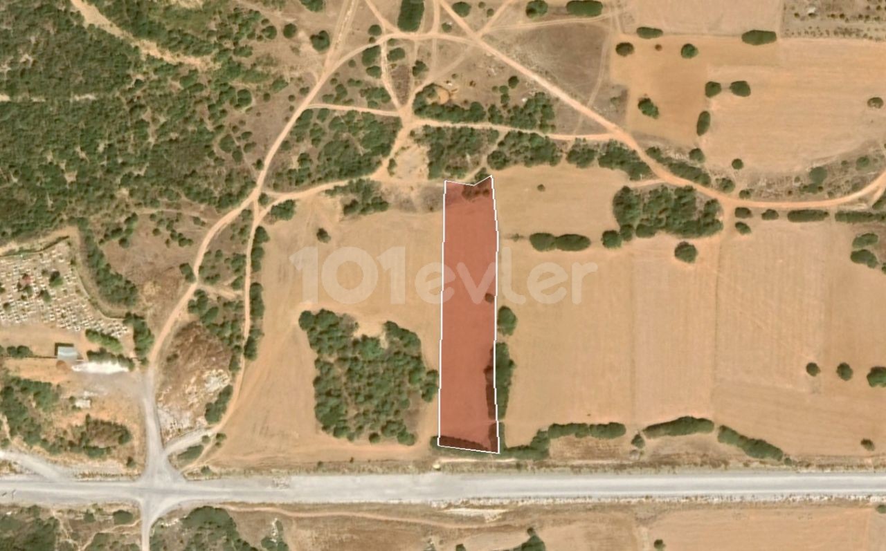 4 Acres of 1 Evlek Land for Sale with Sea View in Yeni Erenköy