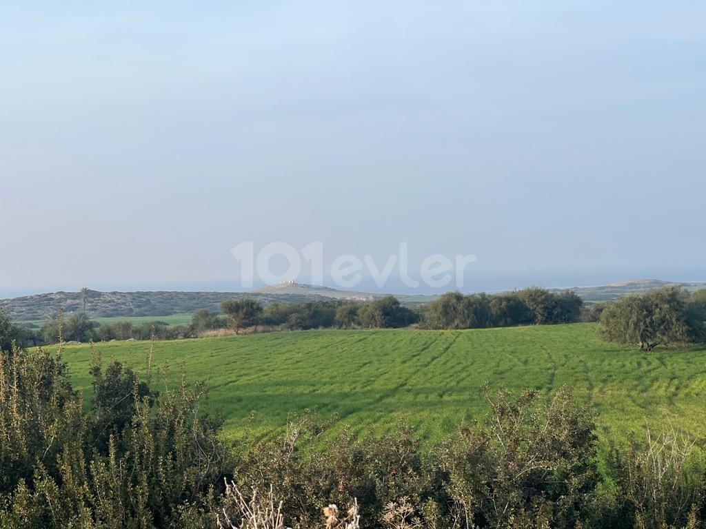 4 Acres of 1 Evlek Land for Sale with Sea View in Yeni Erenköy