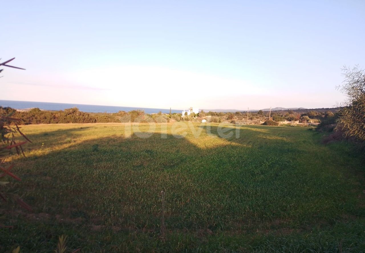 Feld Kaufen in Yeni Erenköy, Iskele