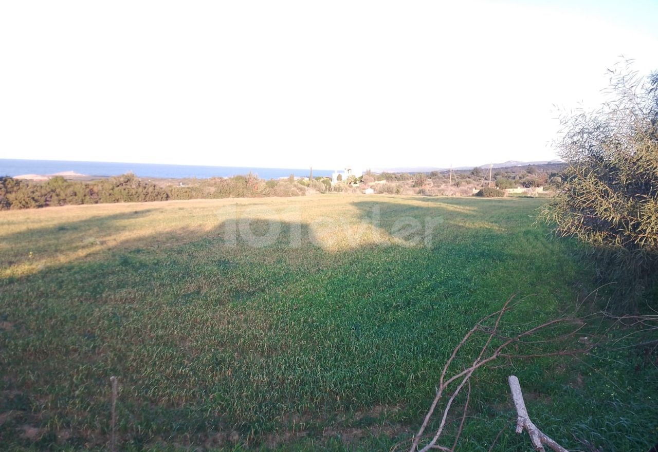 Feld Kaufen in Yeni Erenköy, Iskele