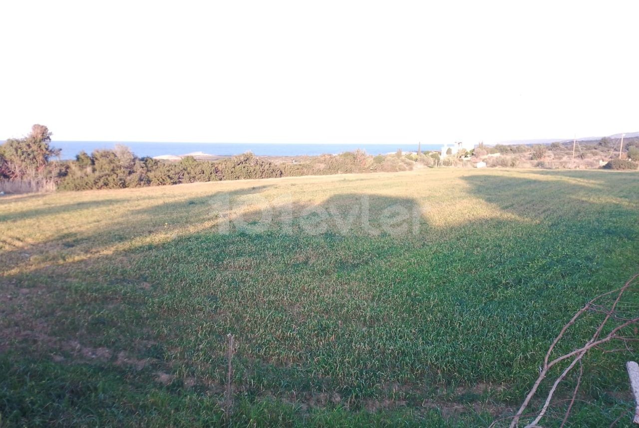 Field For Sale in Yeni Erenköy, Iskele