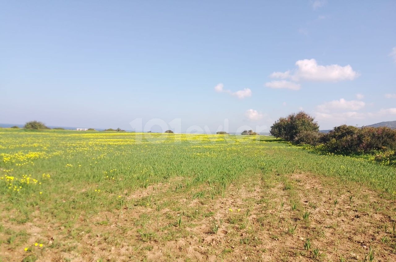 12 Hektar 1 Evlek-Grundstück zum Verkauf mit Meerblick in Yeni Erenköy