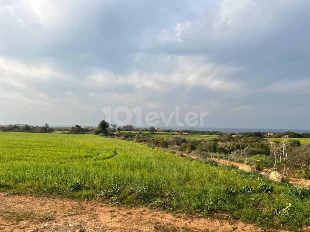 Yenierenköy'de deniz manzaralı satılık arazi