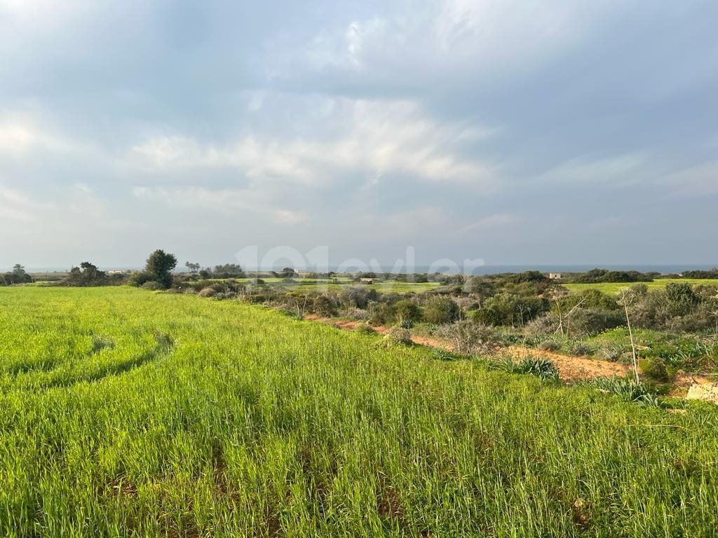 Yenierenköy'de deniz manzaralı satılık arazi