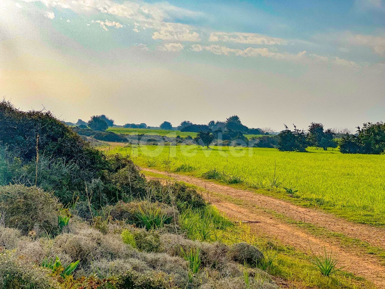 Yenierenköy'de deniz manzaralı satılık arazi