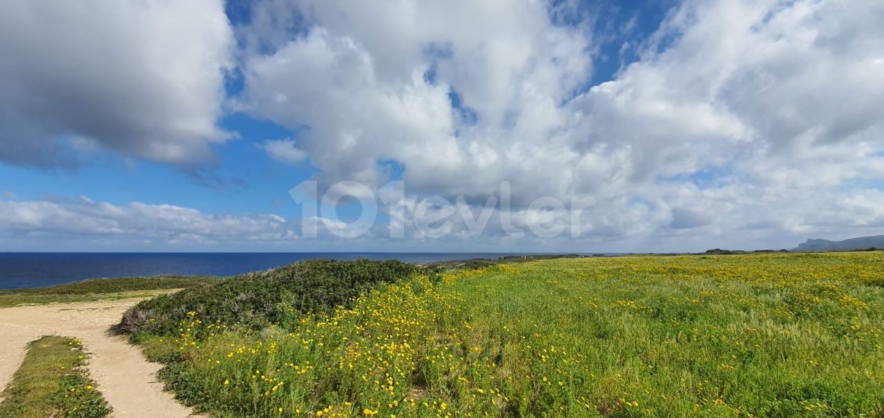 ISKELE KAPLICA SEA-FACING INVESTMENT FIELD UNMISSABLE MAGNIFICENT FIELD ** 