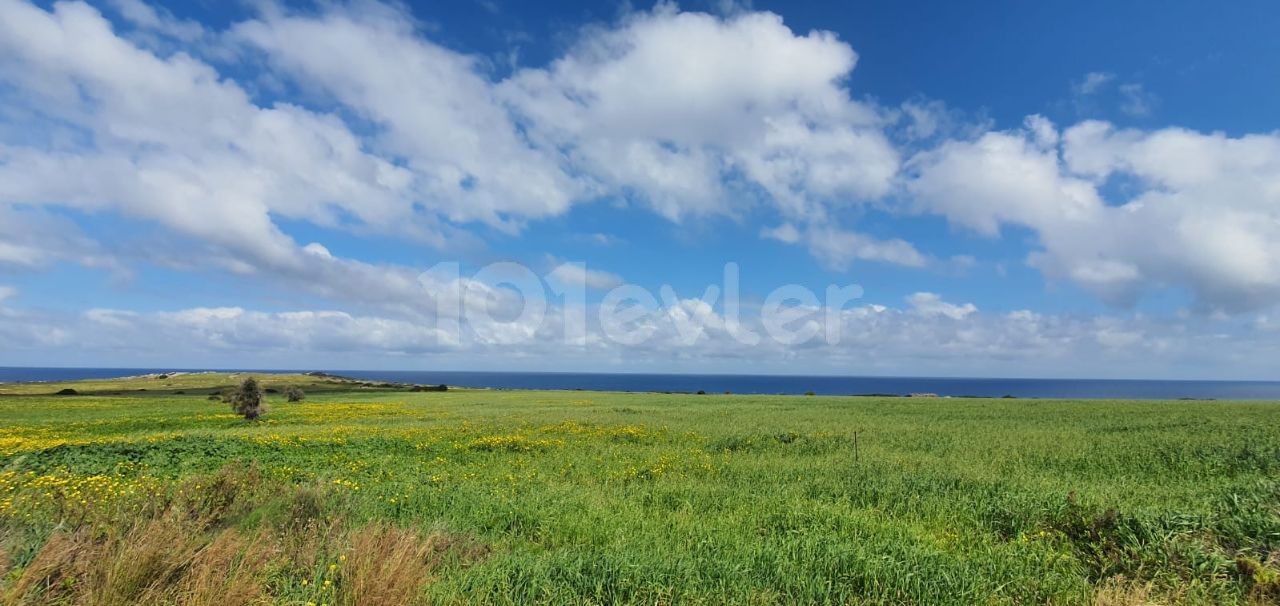 UNÜBERSEHBARE INVESTITION 20 HEKTAR ERSCHLIESSBARES LAND IN ISKELE KAPLICADA ** 