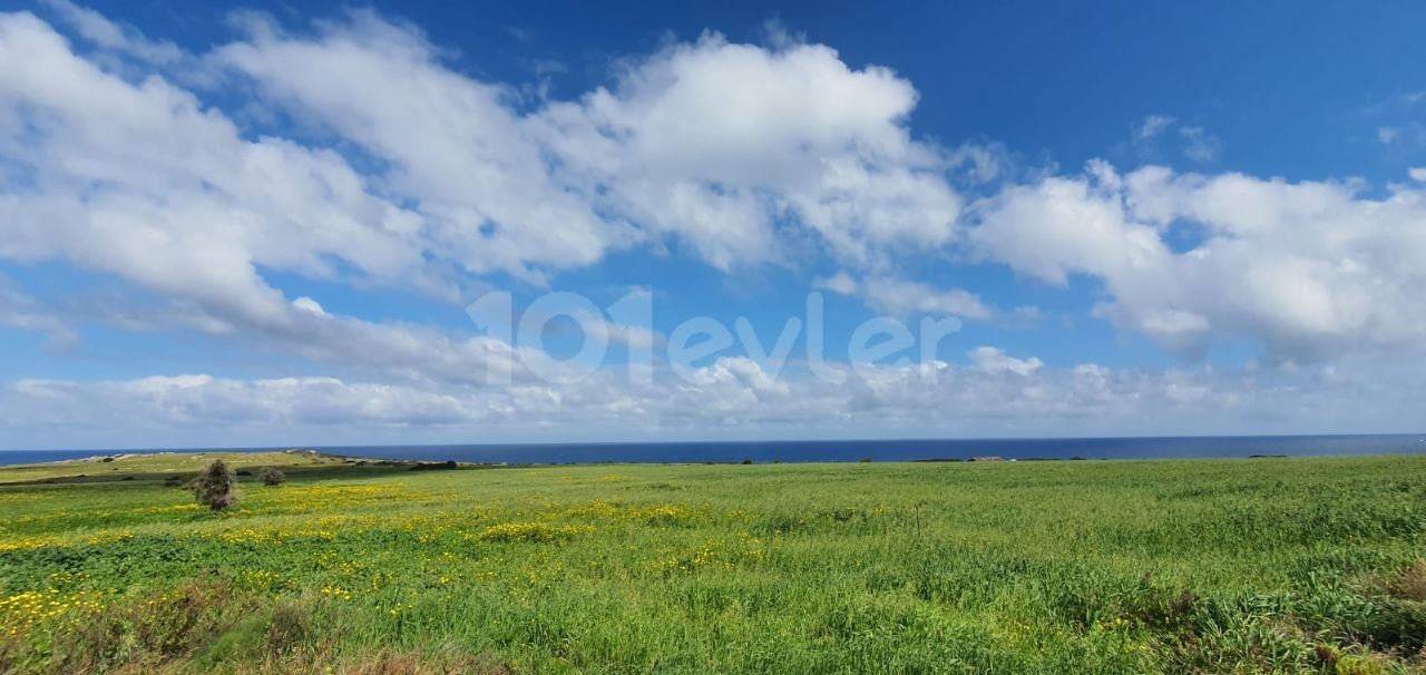 UNMISSABLE INVESTMENT 20 ACRES OF LAND OPEN TO DEVELOPMENT IN ISKELE KAPLICADA ** 