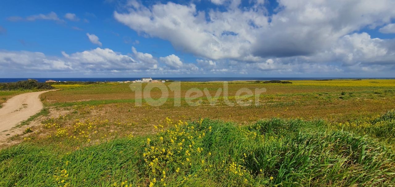 ISKELE SEVENKONUK SEA FRONT FASIL 96 ZONING AND ROAD OPEN TO THE SEA AND A MAGNIFICENT INVESTMENT FIELD 9700M2