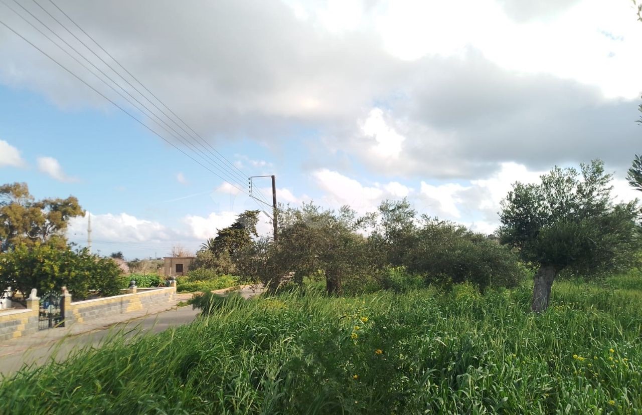 رشته برای فروش in Yeni Erenköy, ایسکله