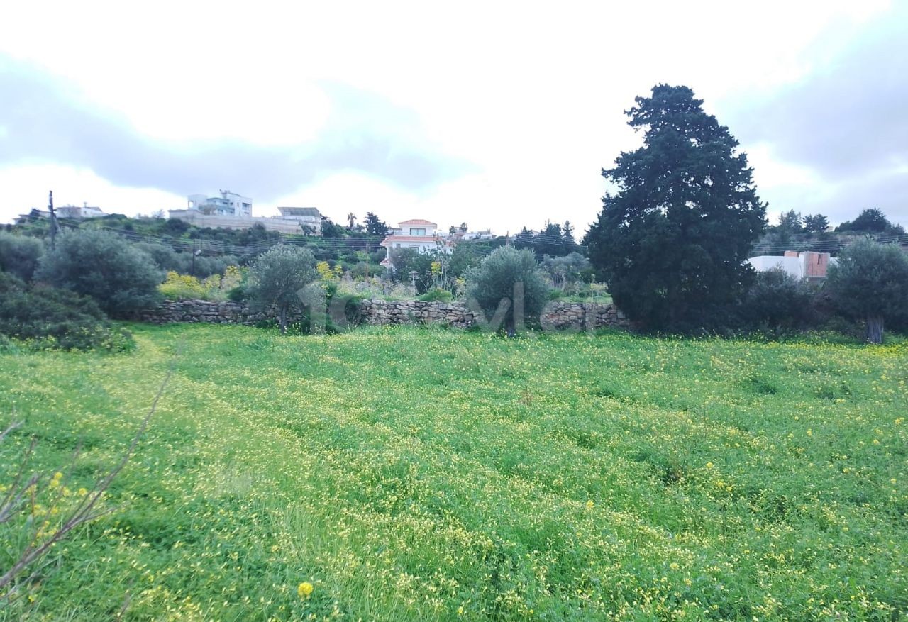 Zu verkaufen in Yeni Erenköy Zoneneinteilung, Natur und Meerblick 1 Acre 2 Häuser Land