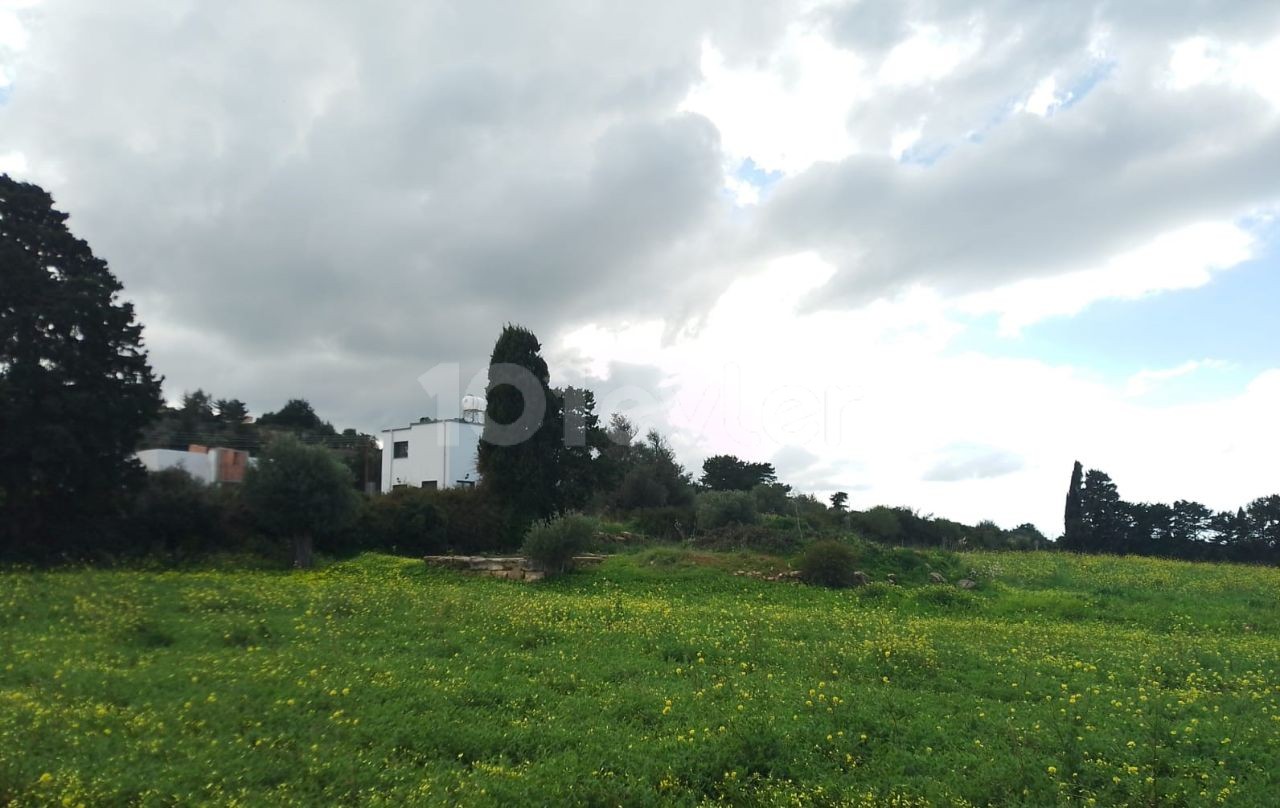 Zu verkaufen in Yeni Erenköy Zoneneinteilung, Natur und Meerblick 1 Acre 2 Häuser Land